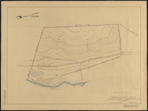 Harvard Forest School Transit Survey of Whitney Lot (Slab City I) August 12, 1912