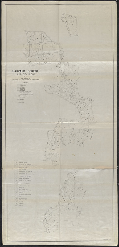 Slab City Soils Map - 1940