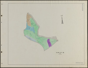 Slab City IV 1937 Stand Map