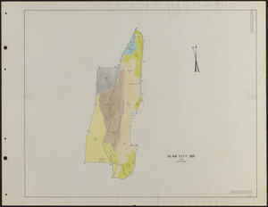 Slab City VIII 1937 Stand Map