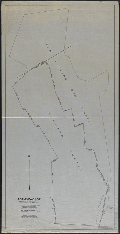 Survey of Adams-Fay Lot (TS IX)