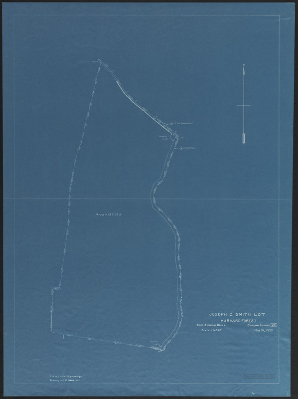 Survey of Joseph C. Smith Lot (TS VII) Tom Swamp Block