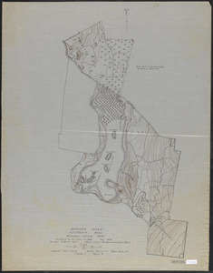 Topographic map of Meadow-water Tract (TS I-VIII)