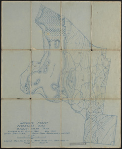 Topographic map of Meadow-water Tract (TS I-VII)