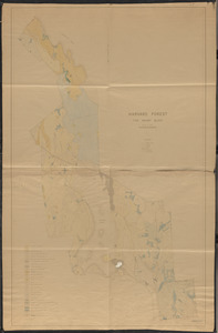 Tom Swamp Block 1940 soils map