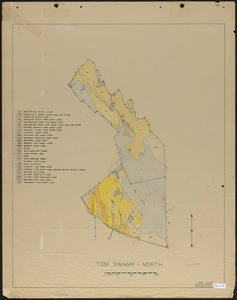 Tom Swamp North soils map 1944