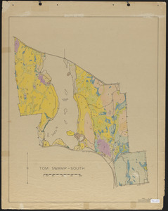 Tom Swamp South soils map 1944
