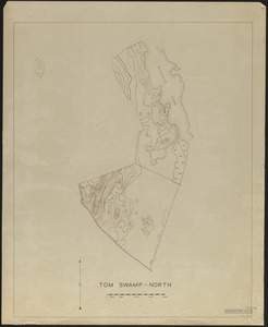 Topographic Maps of Tom Swamp-North 1948