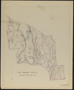 Topographic maps of Tom Swamp-South 1948