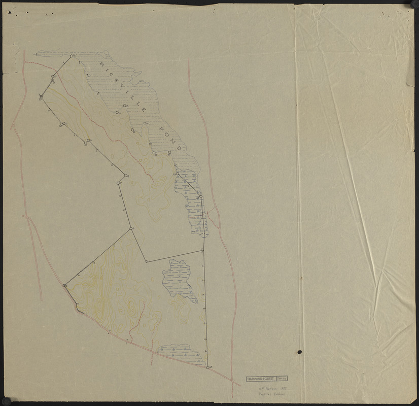 Physical features, including topography of Tom Swamp North