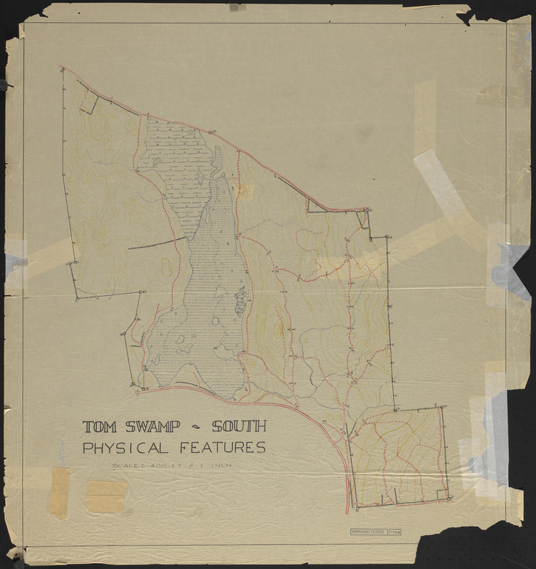 Physical features, including topography of Tom Swamp South