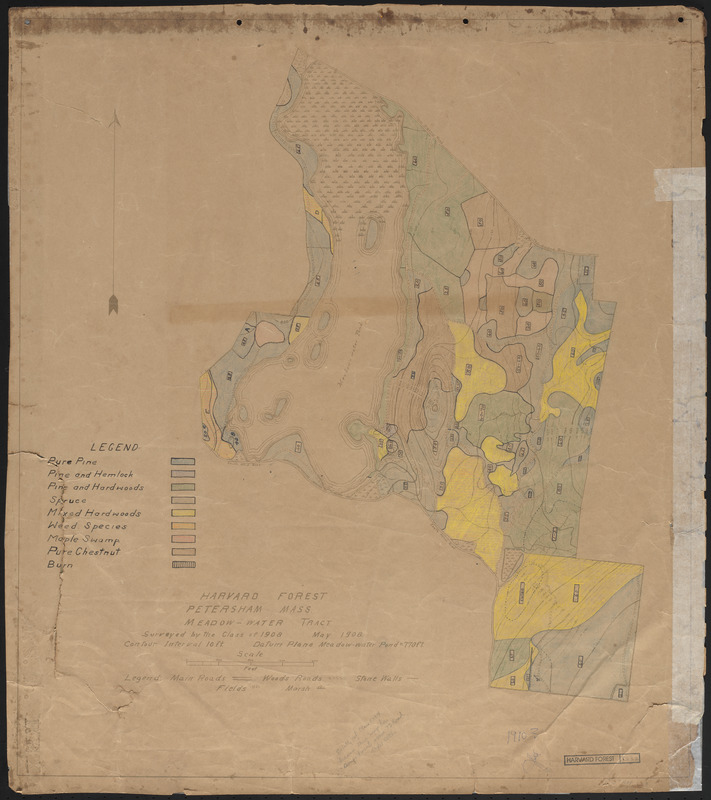 Meadow-Water Tract stand map of TS I-VI