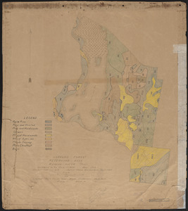 Meadow-Water Tract stand map of TS I-VI