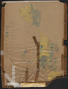 Meadow-Water Tract stand map of TS I-VIII