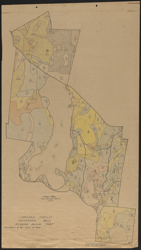 Meadow-Water Tract - type map of Tom Swamp I-VIII