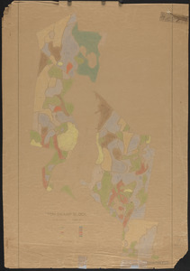 Stand map of Tom Swamp I-VIII