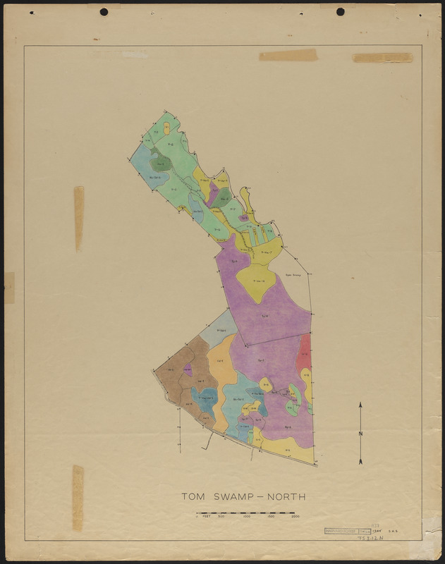 Stand maps of Tom Swamp-North 1937