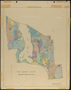 Stand maps of Tom Swamp-South 1937