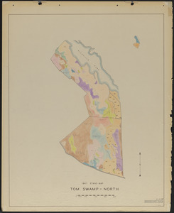 Stand maps of Tom Swamp-North 1947