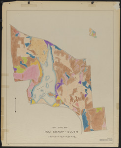 Stand maps of Tom Swamp-South 1947
