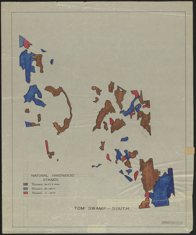 Natural hardwood stands, Tom Swamp-South