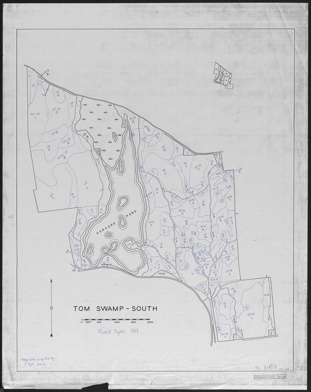 Tom Swamp South forest types 1919