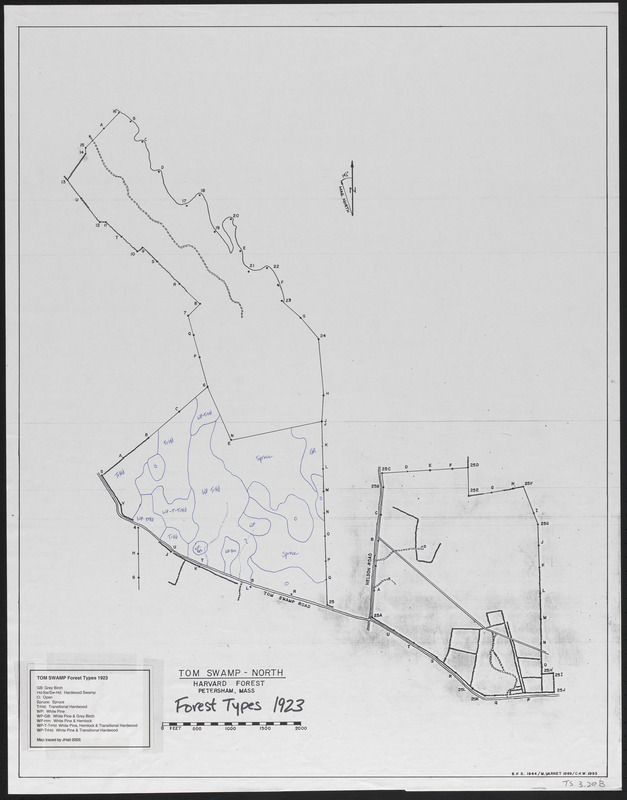 Tom Swamp North forest types 1923