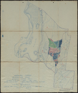 Meadow-Water Tract Harvard Forest topographic map of TS I-VI and working plan for Compartment V
