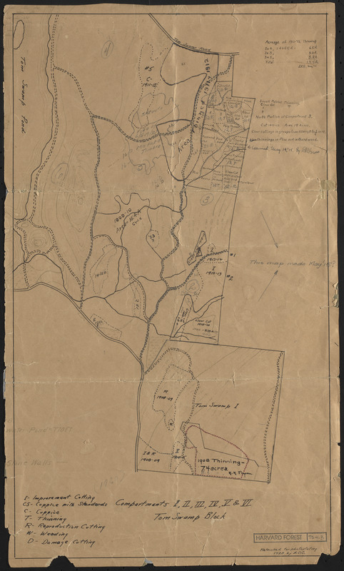 Tom Swamp Block cutting operations TS I-VI - 1915