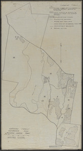 Harvard Forest Meadow-Water Tract forest operations 1920