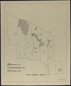 Forest operations, Tom Swamp South