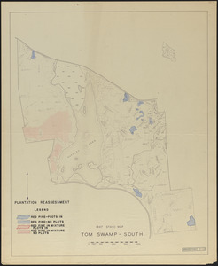Plantation reassessment, Tom Swamp South 1947