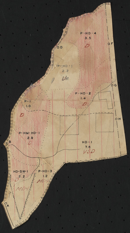 Tom Swamp Compartment II 1938 hurricane damage map