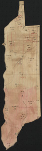 Tom Swamp Compartment III 1938 hurricane damage map