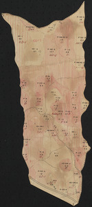 Tom Swamp Compartment IV 1938 hurricane damage map
