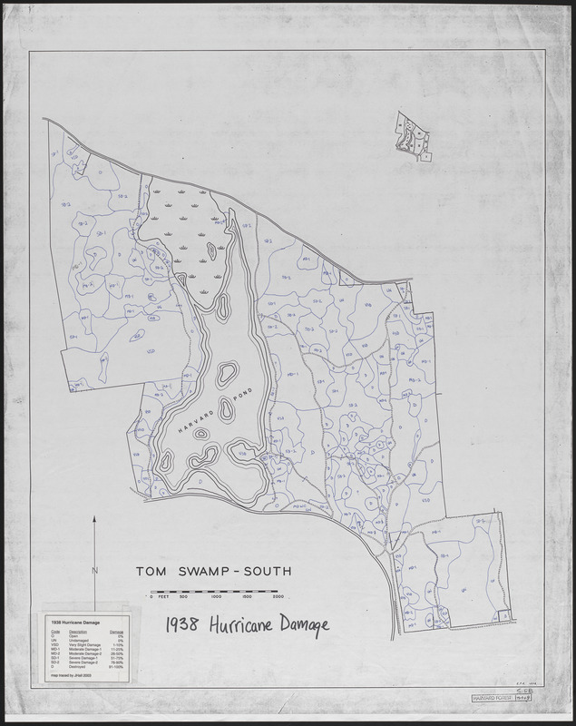 Tom Swamp South, 1938 hurricane damage