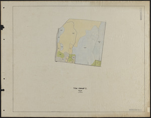Tom Swamp I 1928-29 stand map