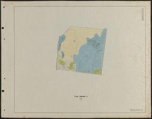 Tom Swamp I 1933 stand map