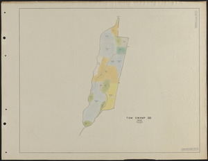 Tom Swamp III 1930 stand map