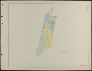 Tom Swamp III 1932 stand map