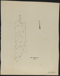 Tom Swamp III 1942 stand map