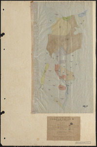 Tom Swamp V 1924-27 stand map
