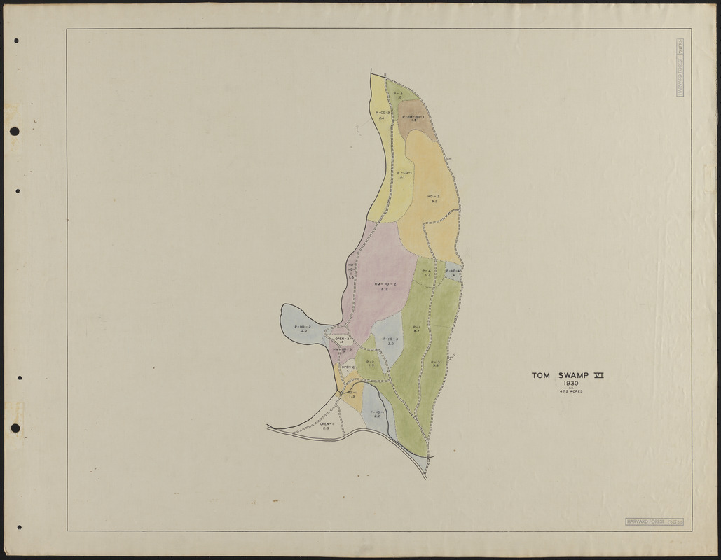 Tom Swamp VI 1930 stand map