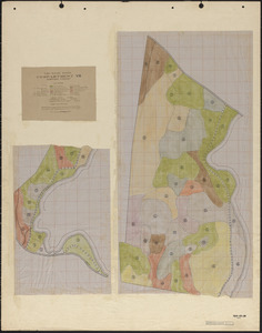 Tom Swamp VII 1924-26 stand map