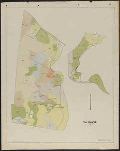 Tom Swamp VII 1927 stand map