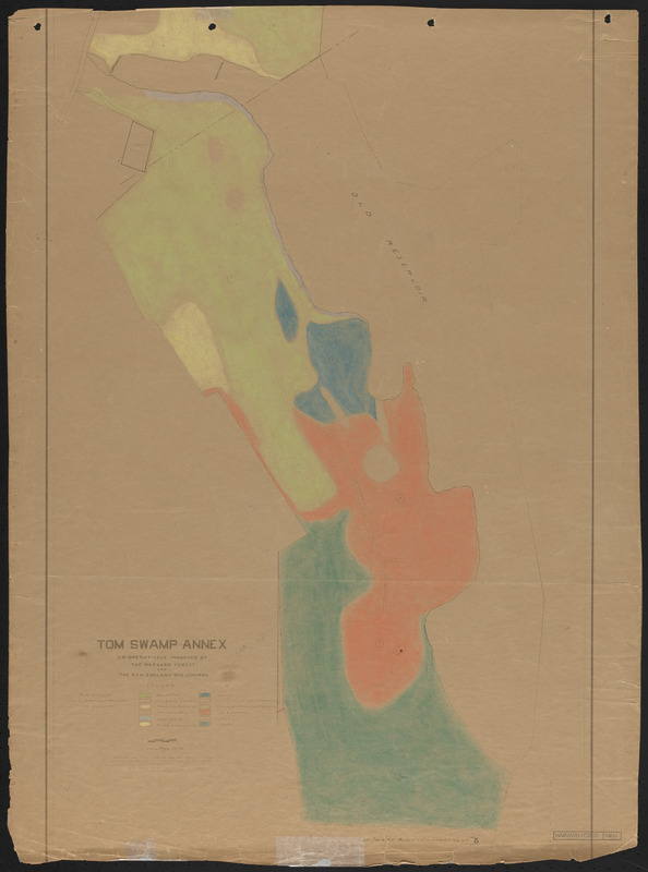 Tom Swamp Annex (IX) 1924 stand map