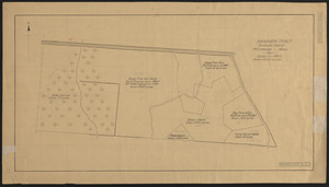 Higginson Tract 1911 Stand Map