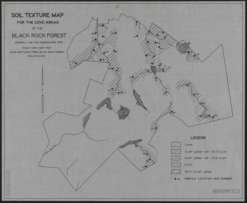 Soil Texture Map for the Cove Areas of the Black Rock Forest