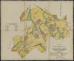 Growth and Density Plan of the Black Rock Forest
