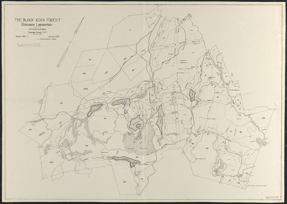 The Black Rock Forest Research Plots and Activities